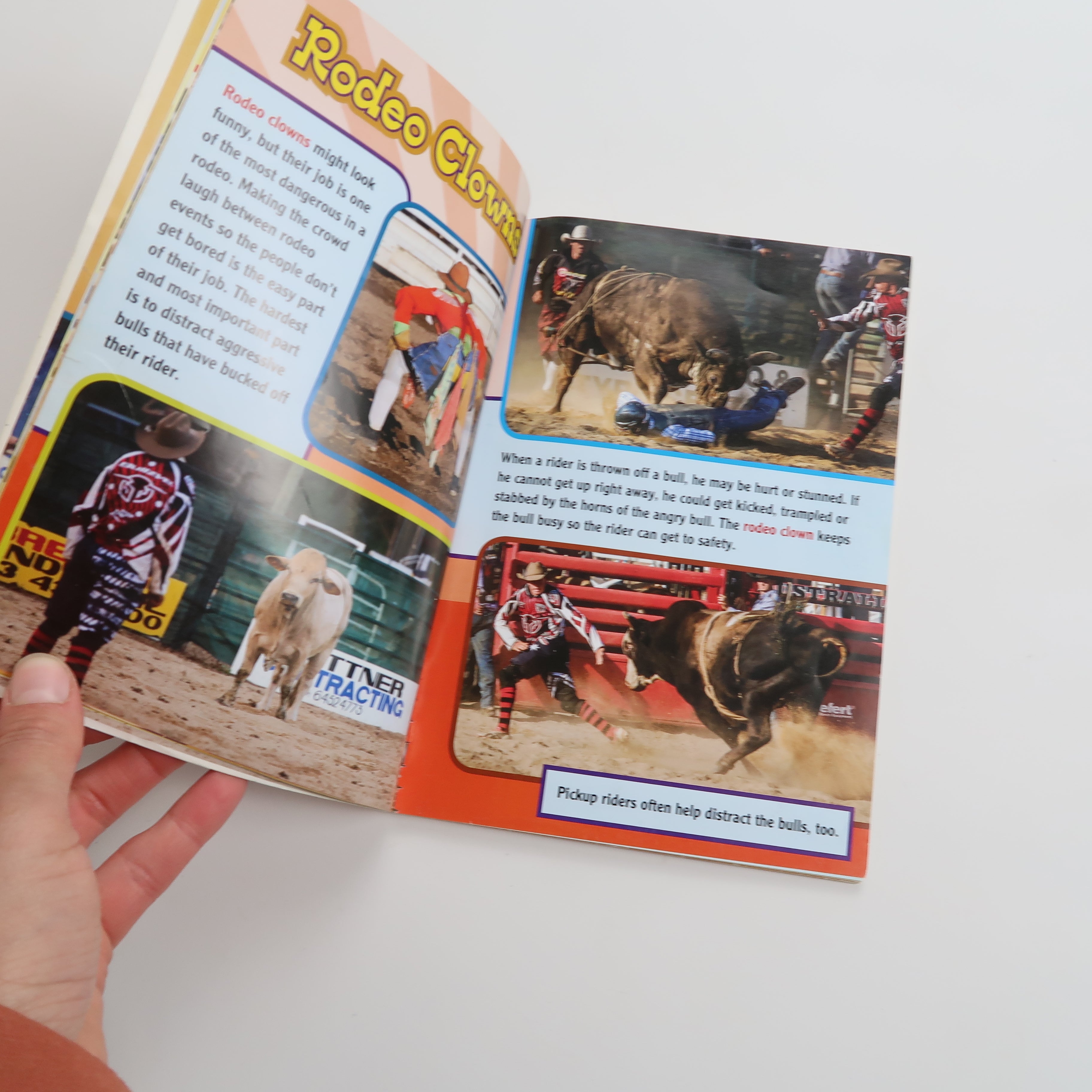 Rodeo Roundup - Book