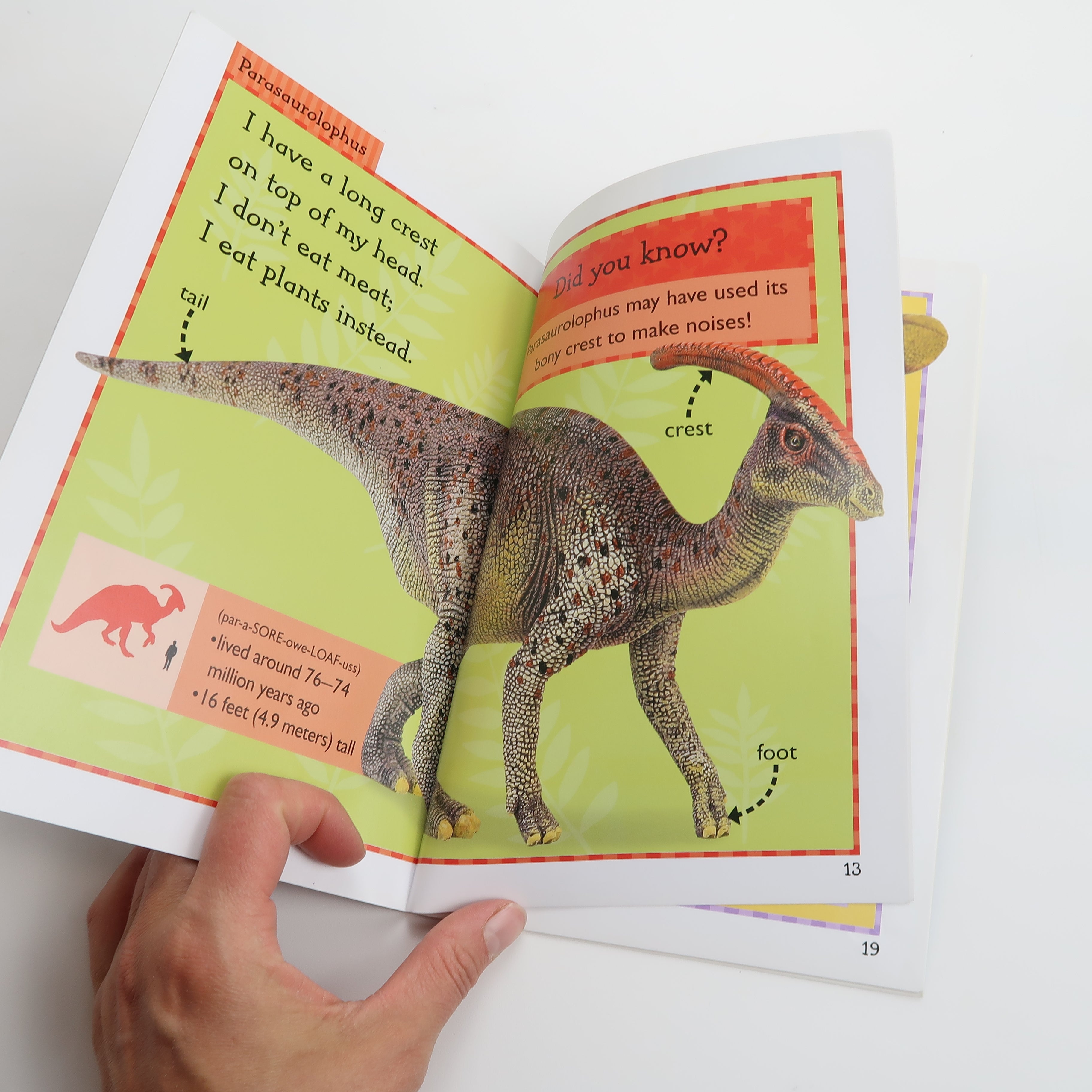 Dangerous Dinos - Book