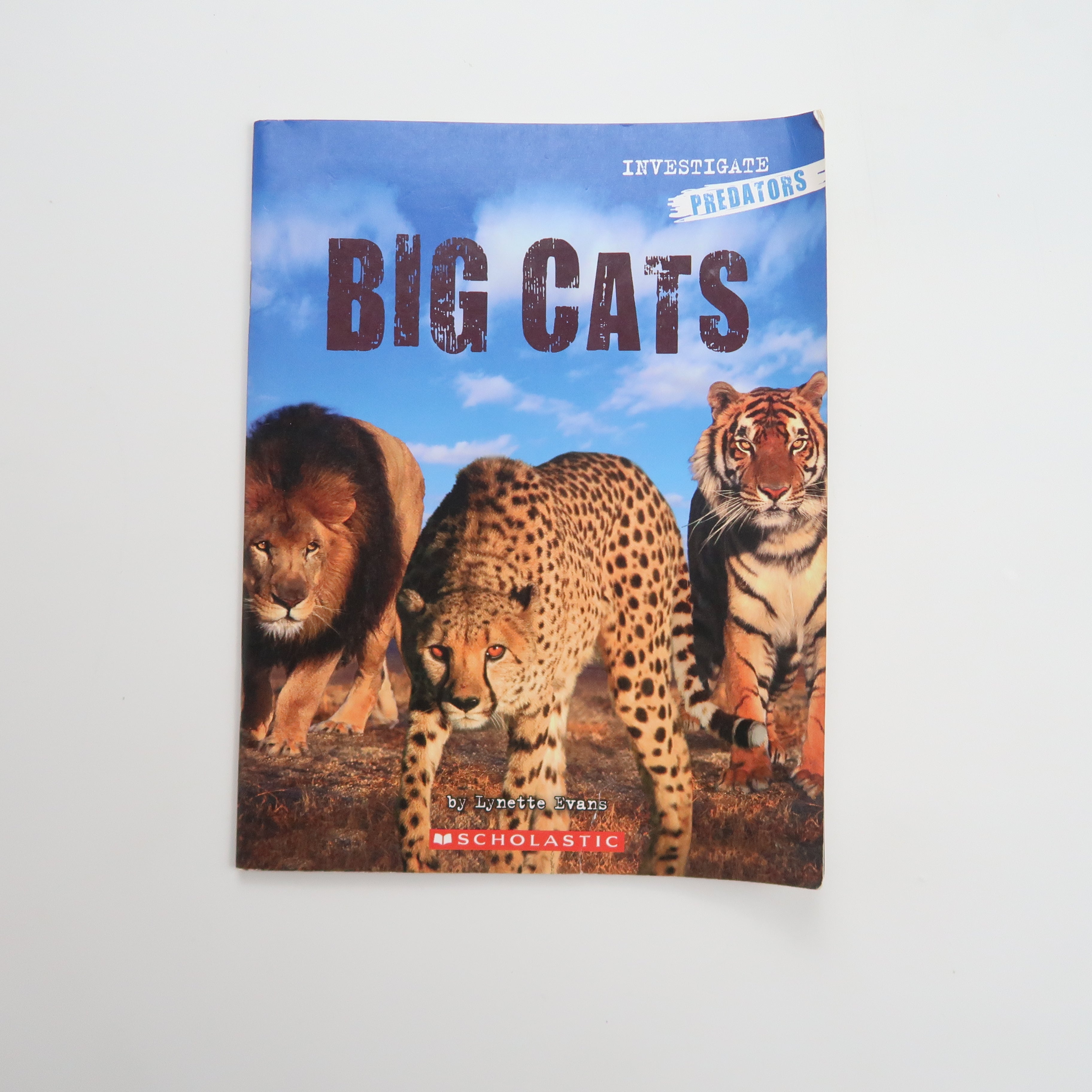 Big Cats - Book