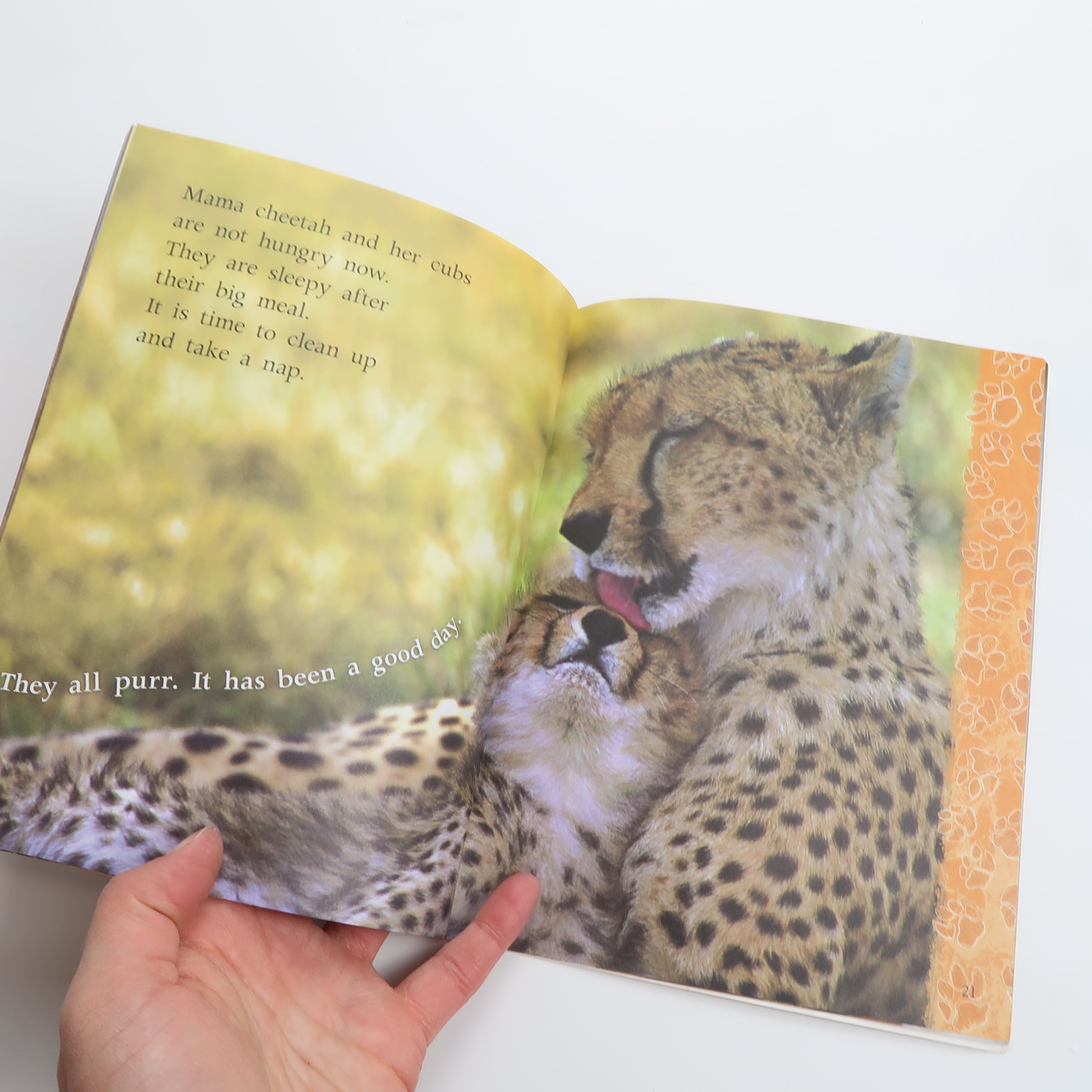 Big Cats - Book