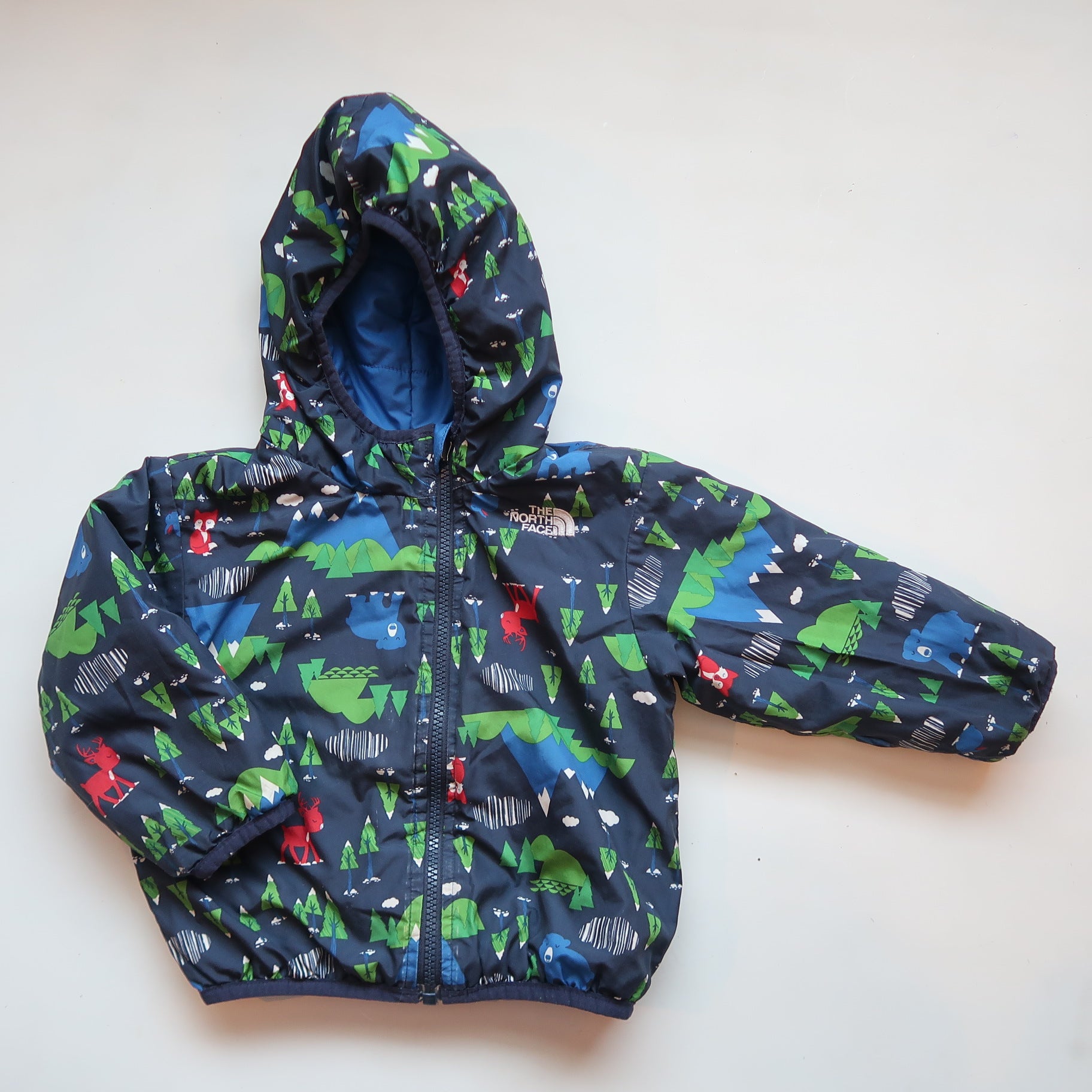 The North Face - Jacket (12-18M)