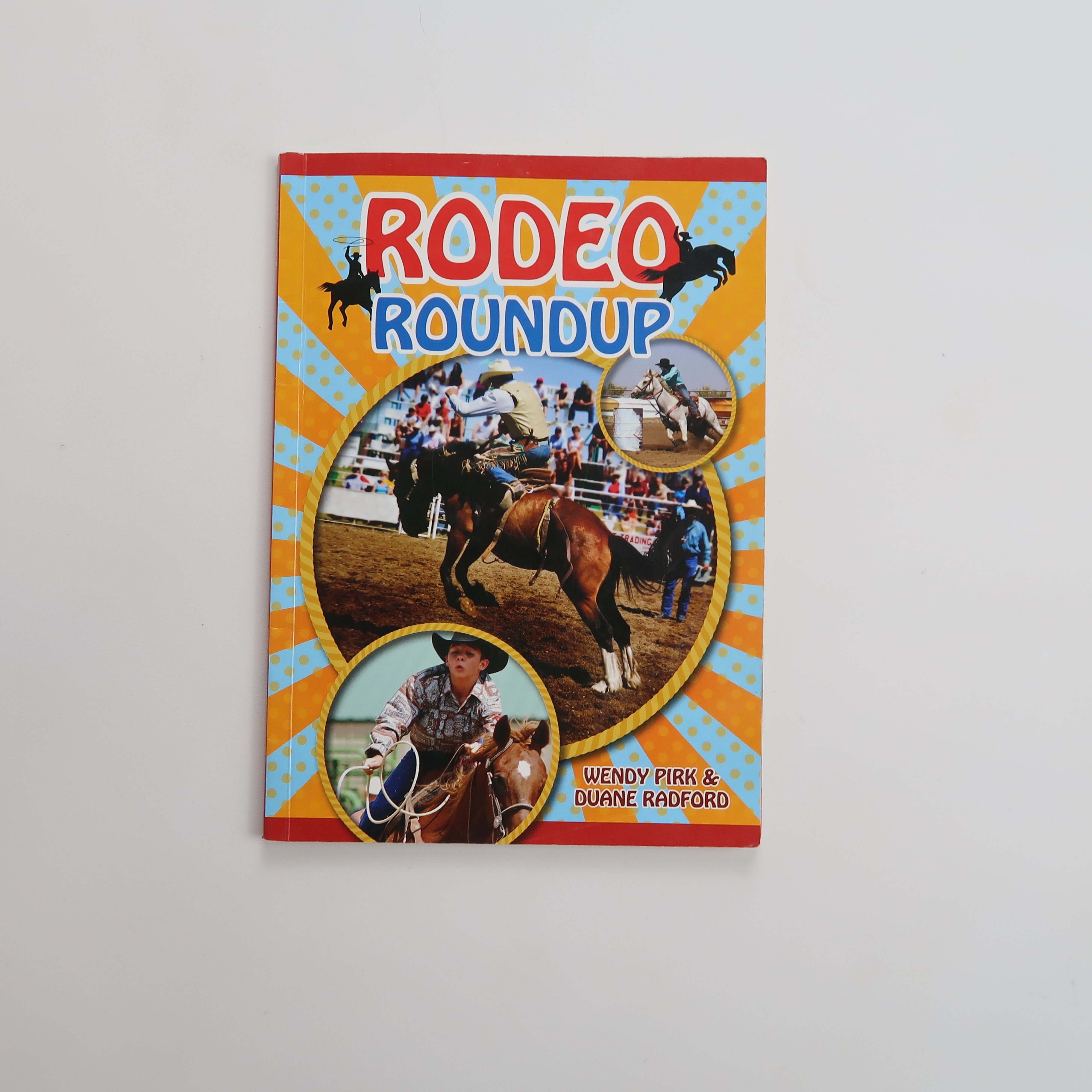 Rodeo Roundup - Book