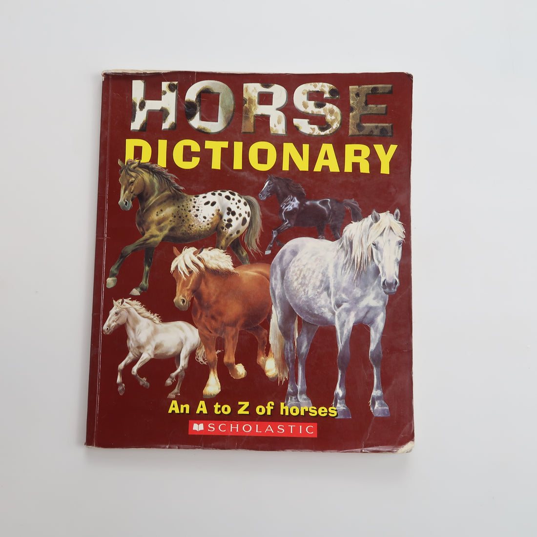 Horse Dictionary - Book