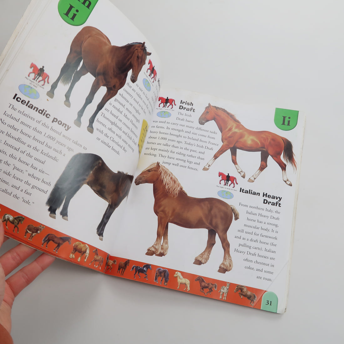 Horse Dictionary - Book