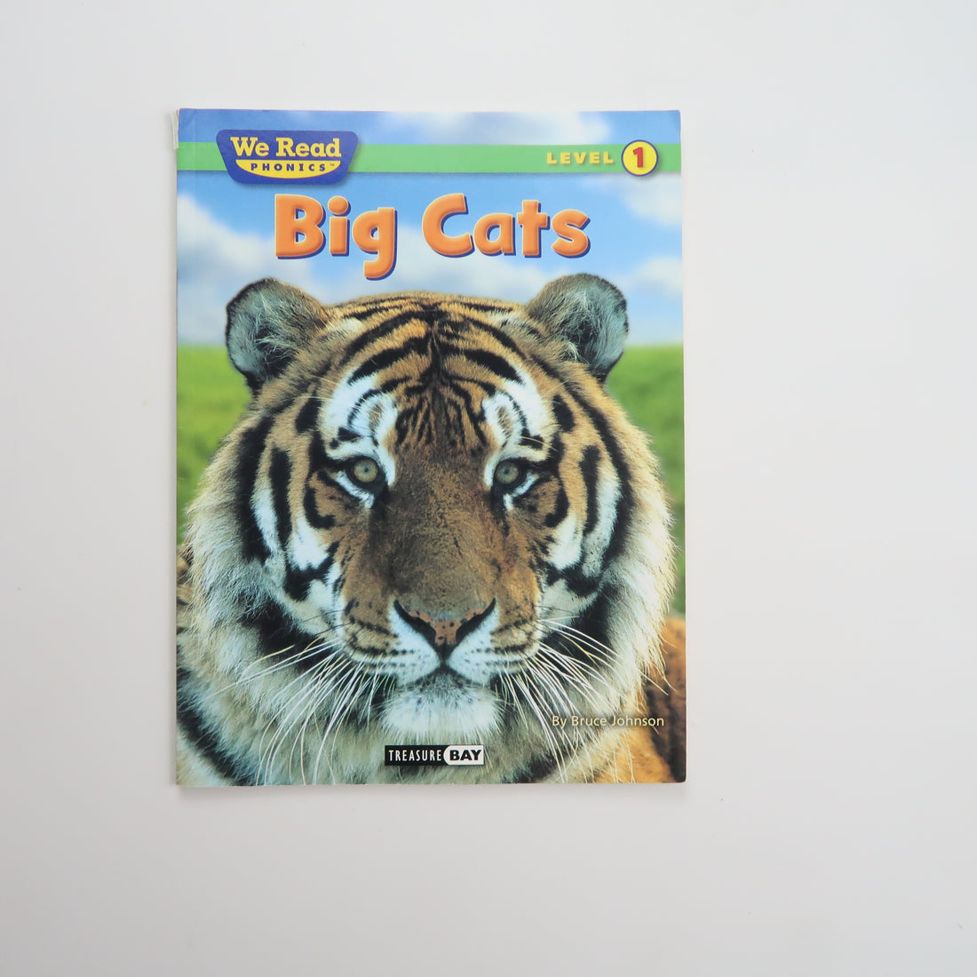 Big Cats - Book