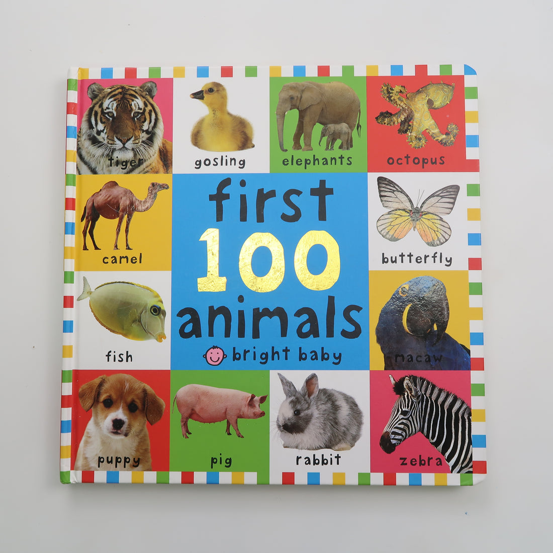 First 100 Animals - Large Board Book