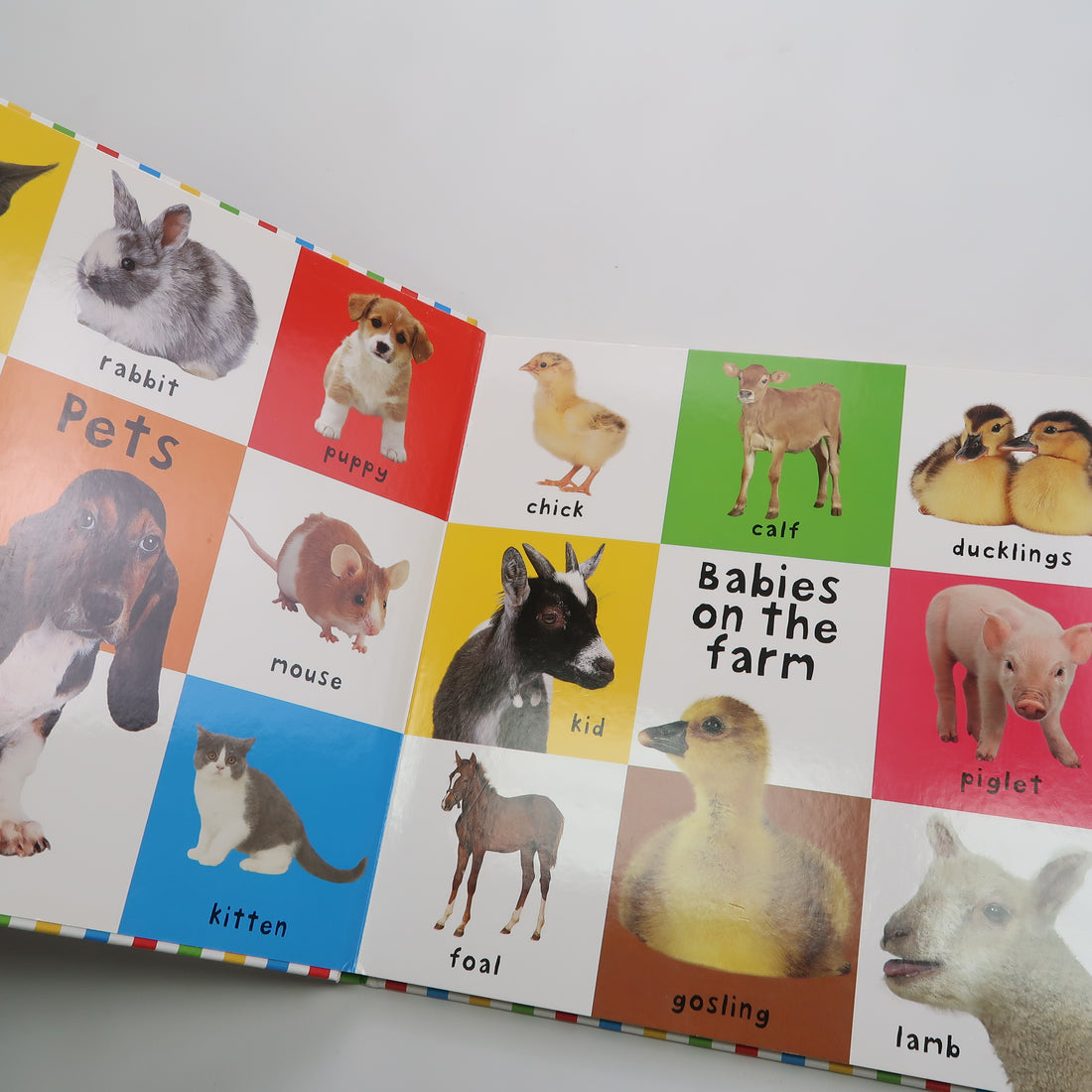 First 100 Animals - Large Board Book