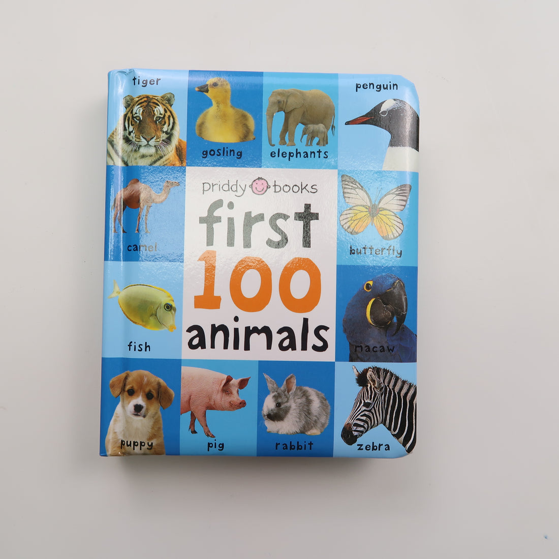 First 100 Animals - Board Book