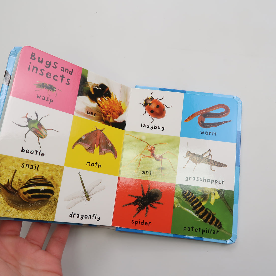 First 100 Animals - Board Book