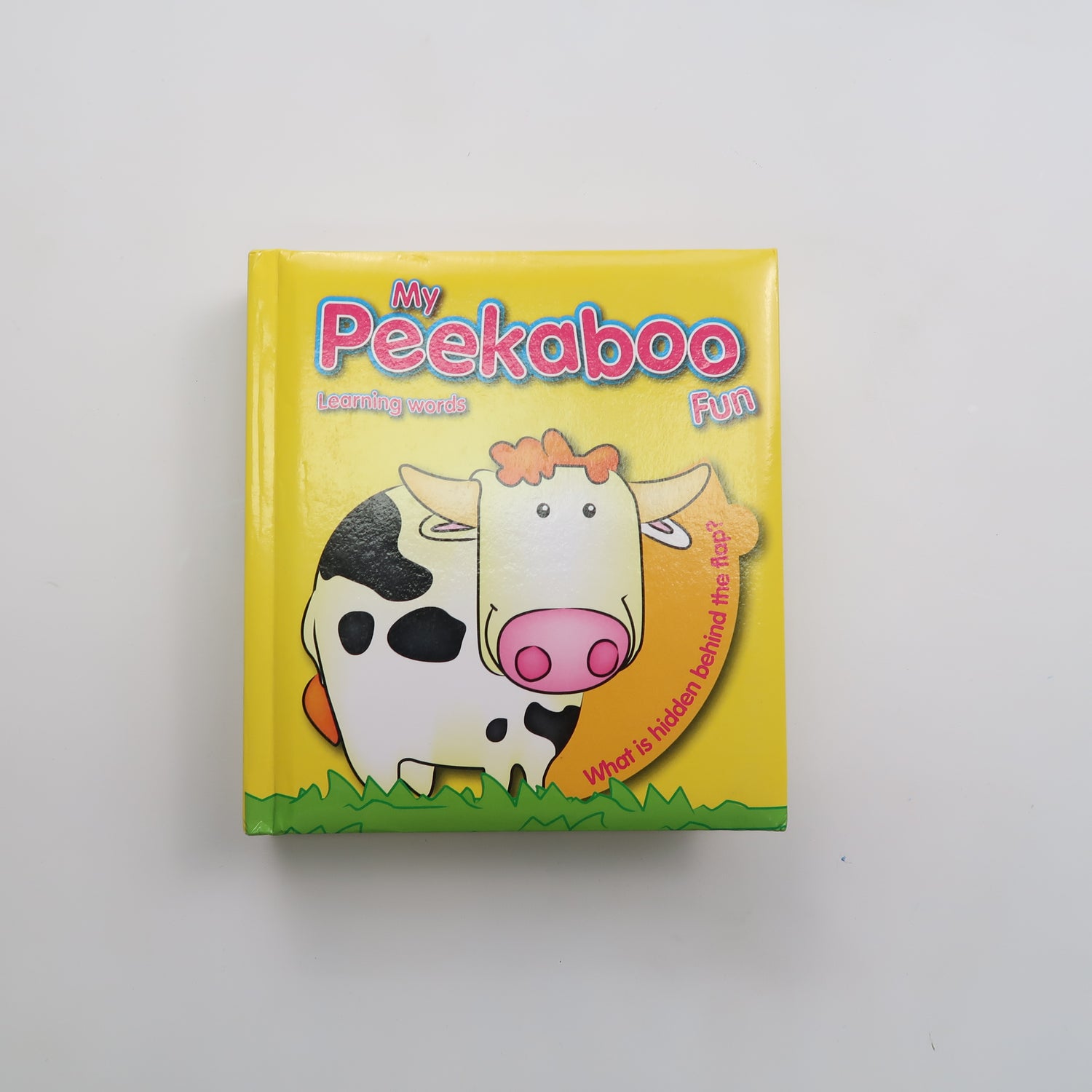 My Peekaboo Fun - Board Book