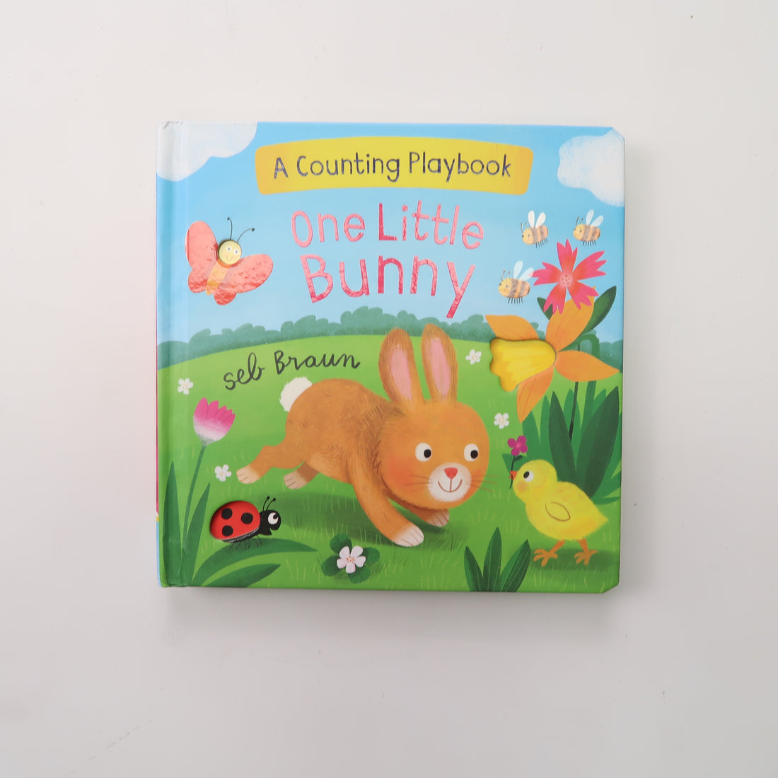 One Little Bunny - Board Book