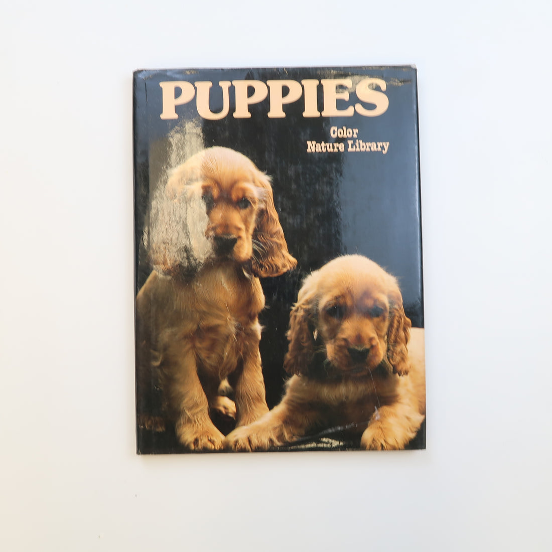 Puppies - Hardcover
