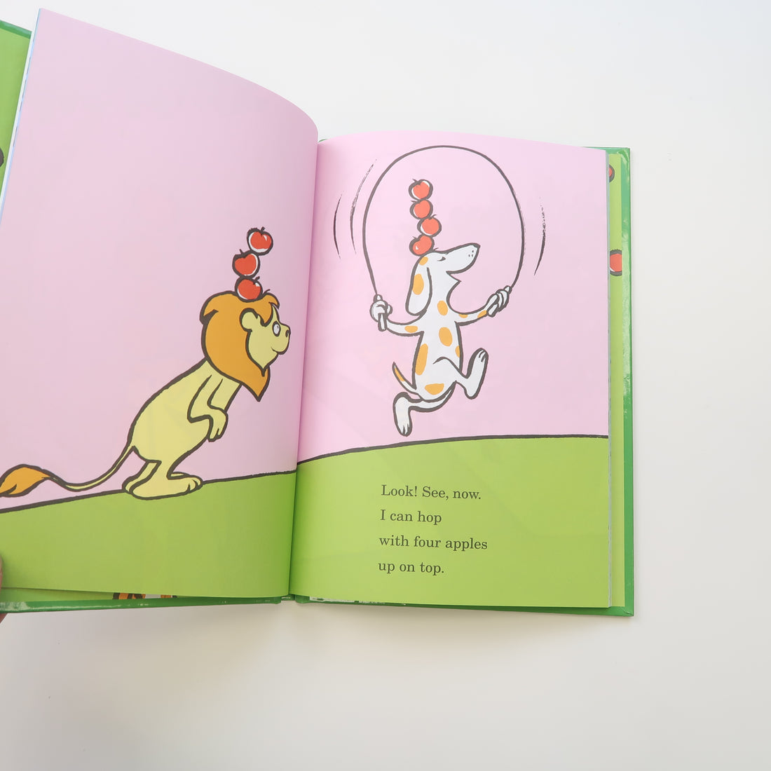 Dr Seuss Beginner Books - Hardcover