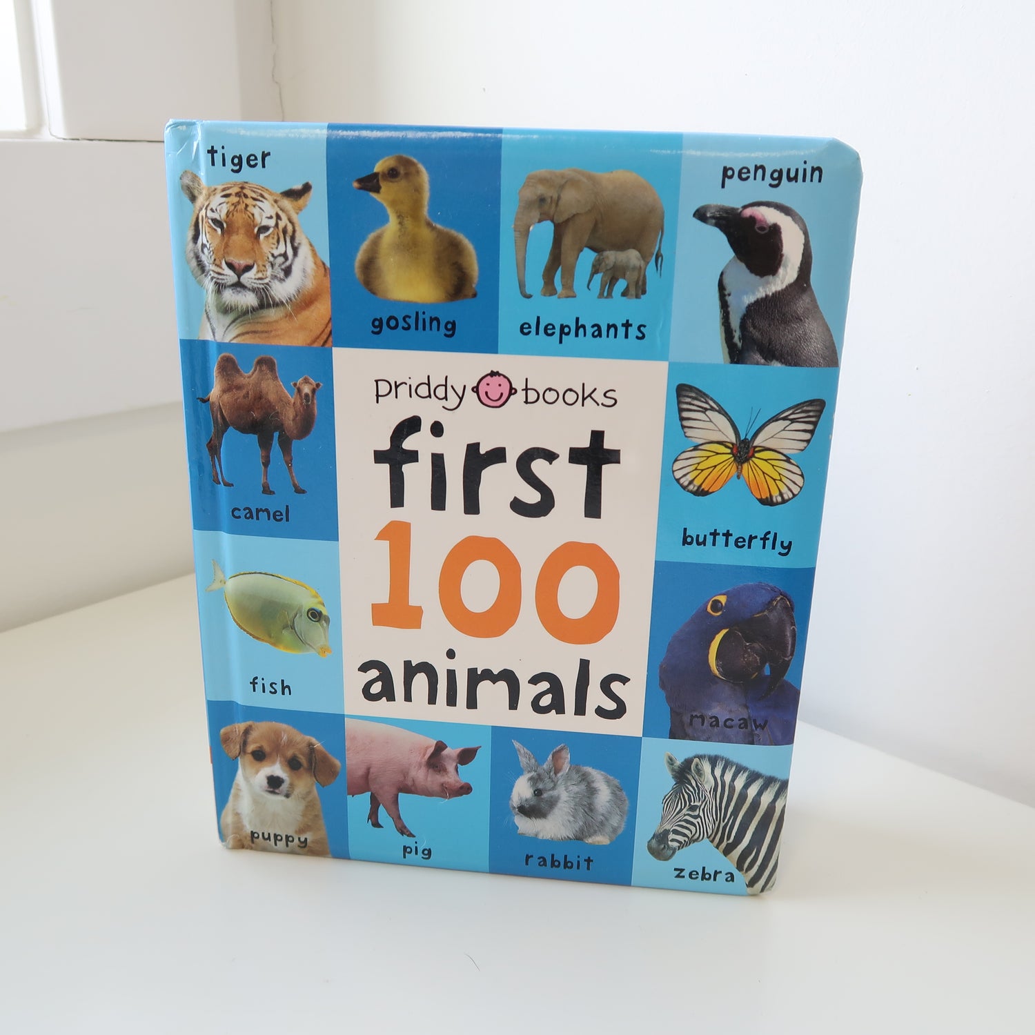 First 100 Animals - Board Book