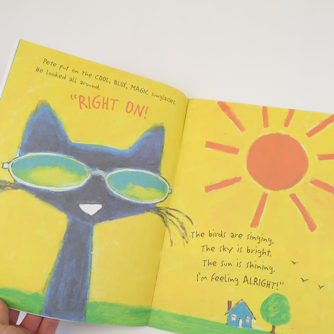 Pete the Cat &amp; His Magic Sunglasses - Paperback