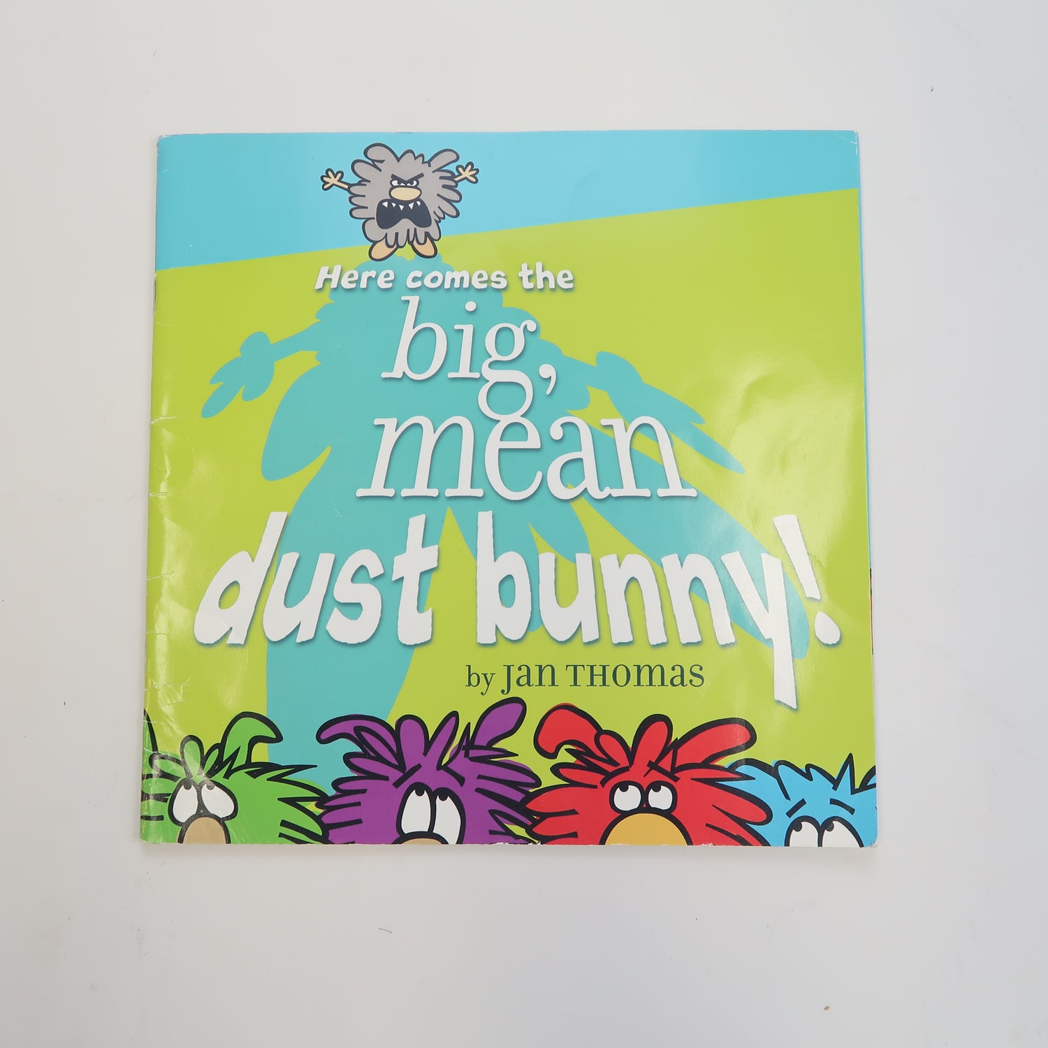 Here Comes the Big Mean Dust Bunny