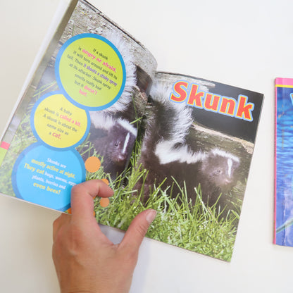 Kids World - Animal Book Set