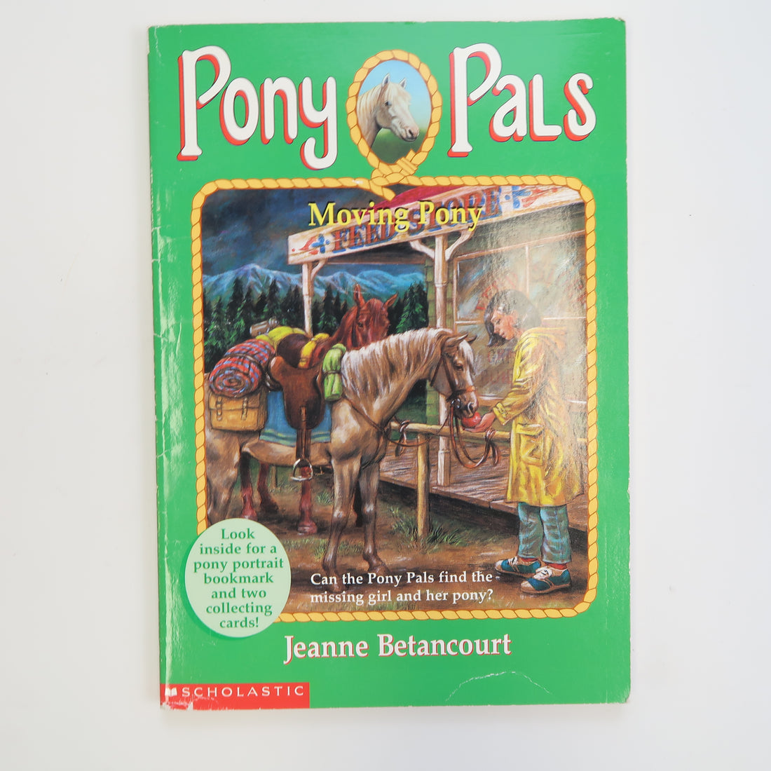 Pony Pals - Book