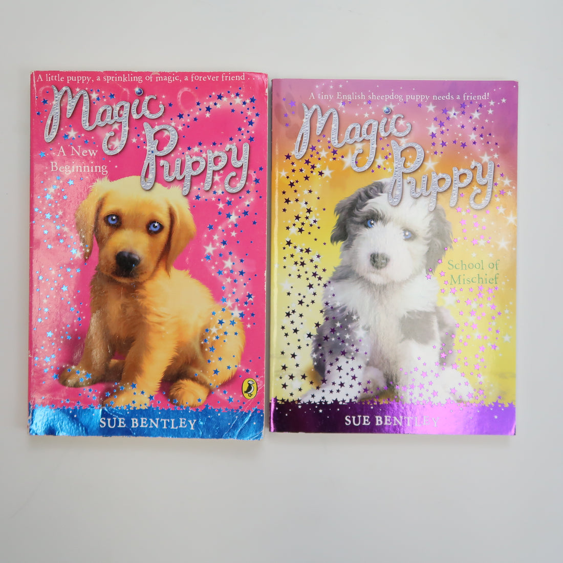 Magic Puppy - Book Set
