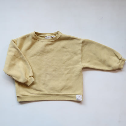 Zara - Sweatshirt (2/3T) *gently used