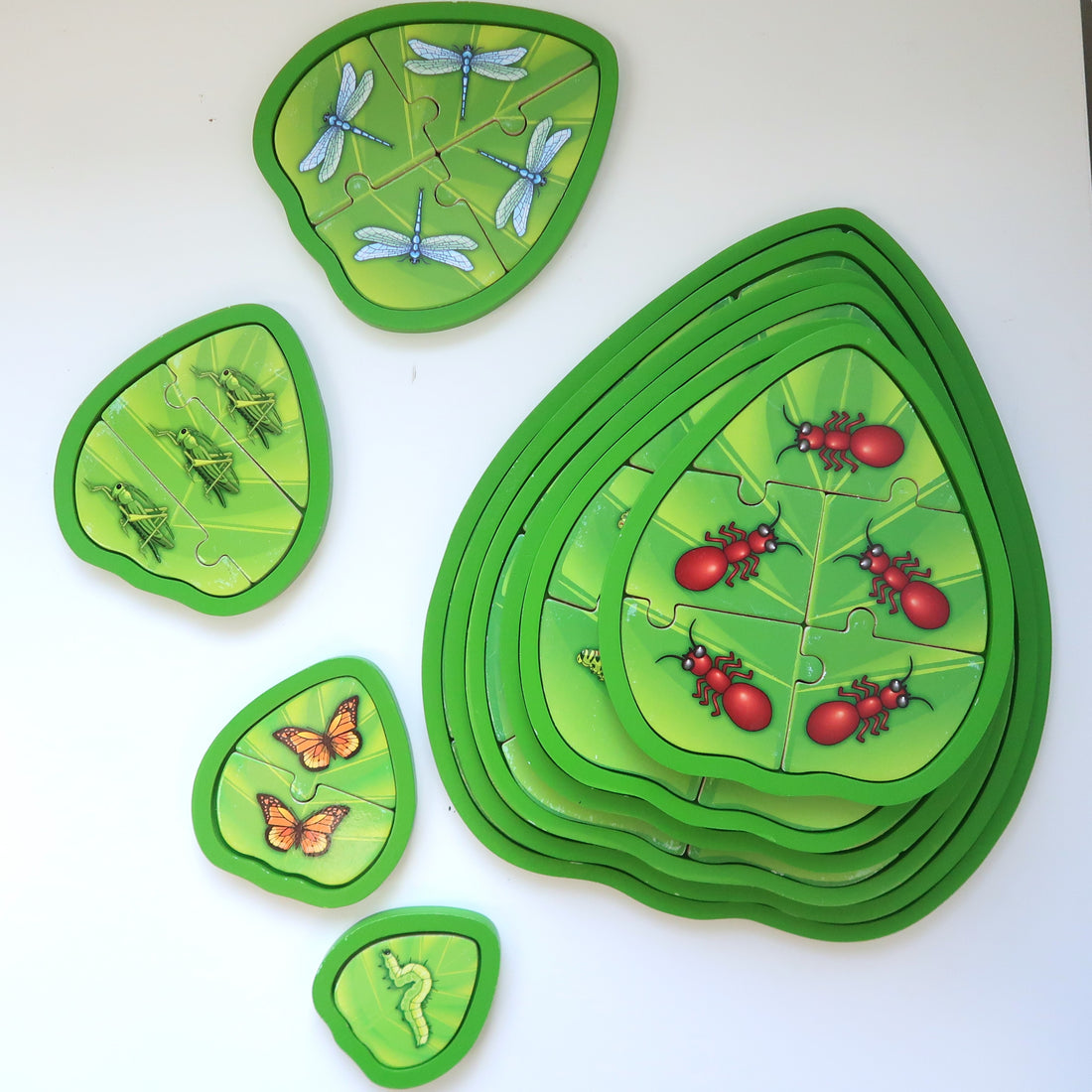 Wooden Stacking Insect Puzzles