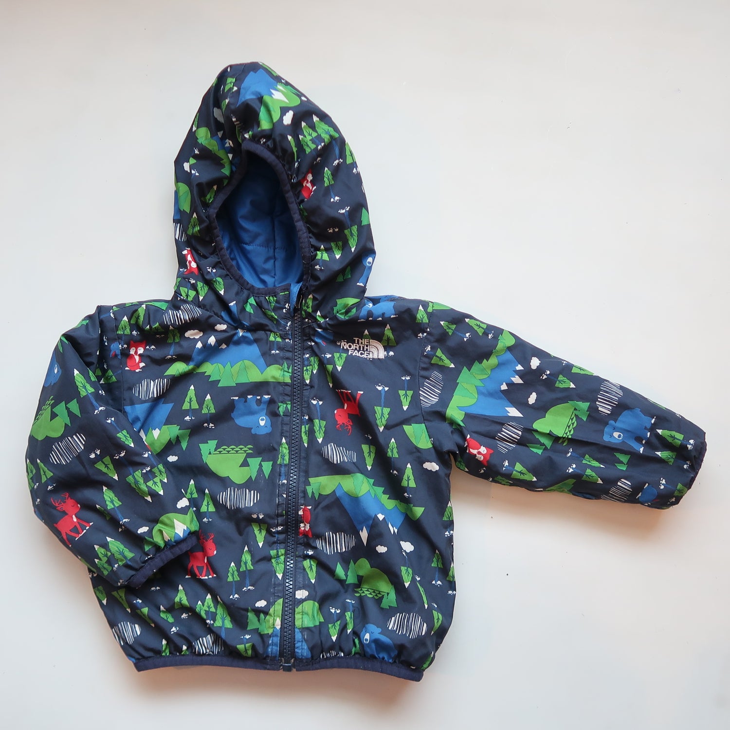 The North Face - Jacket (12-18M)