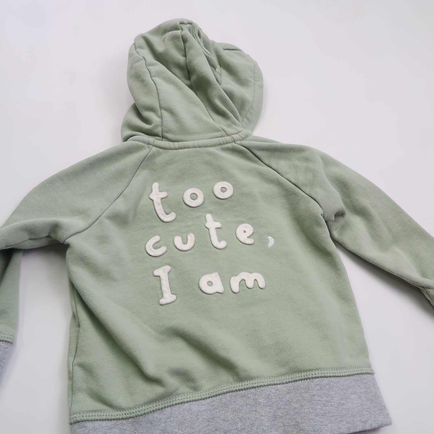 Gap - Hoodie (12-18M) *small hole