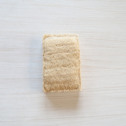 PLANTISH - ECO SPONGE