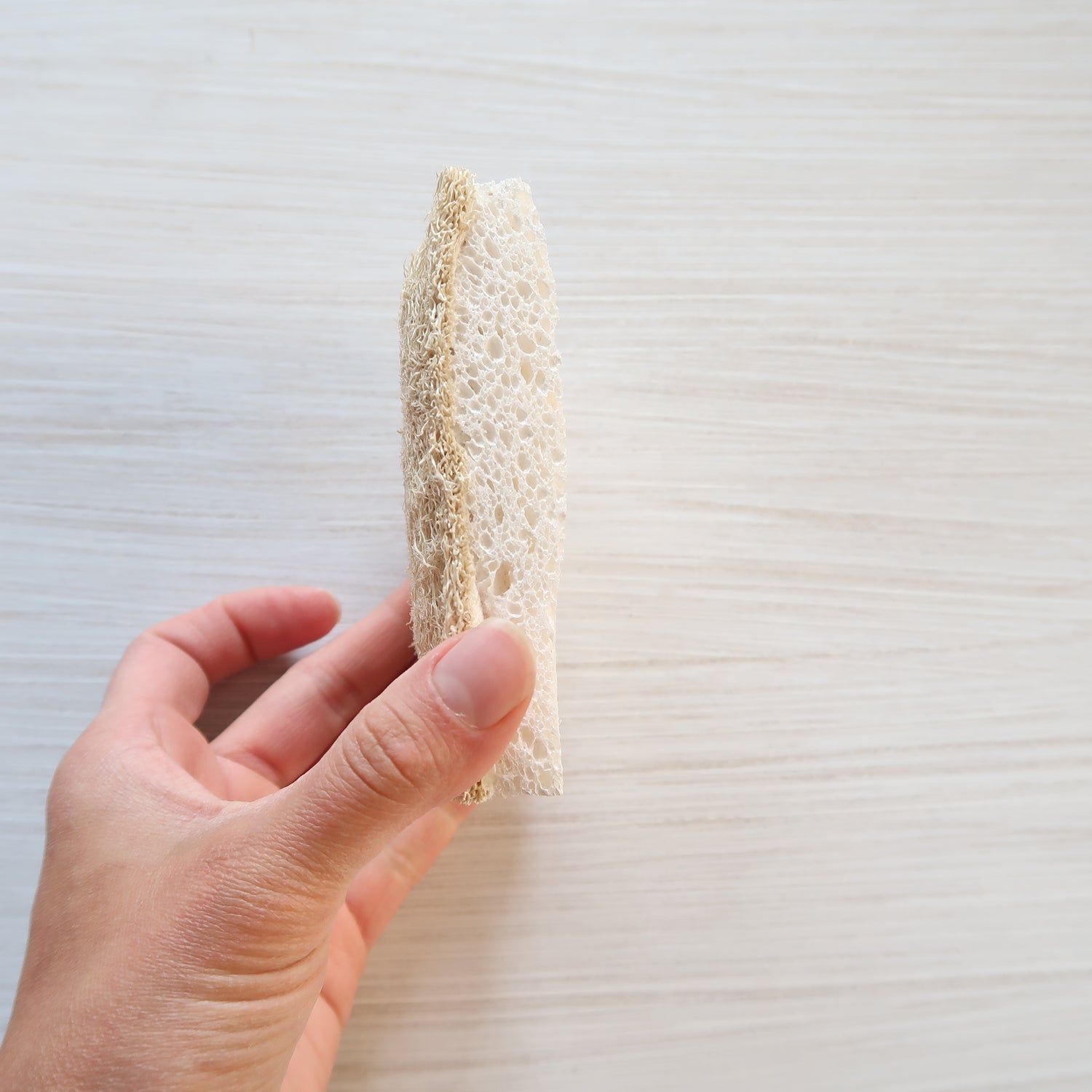 PLANTISH - ECO SPONGE