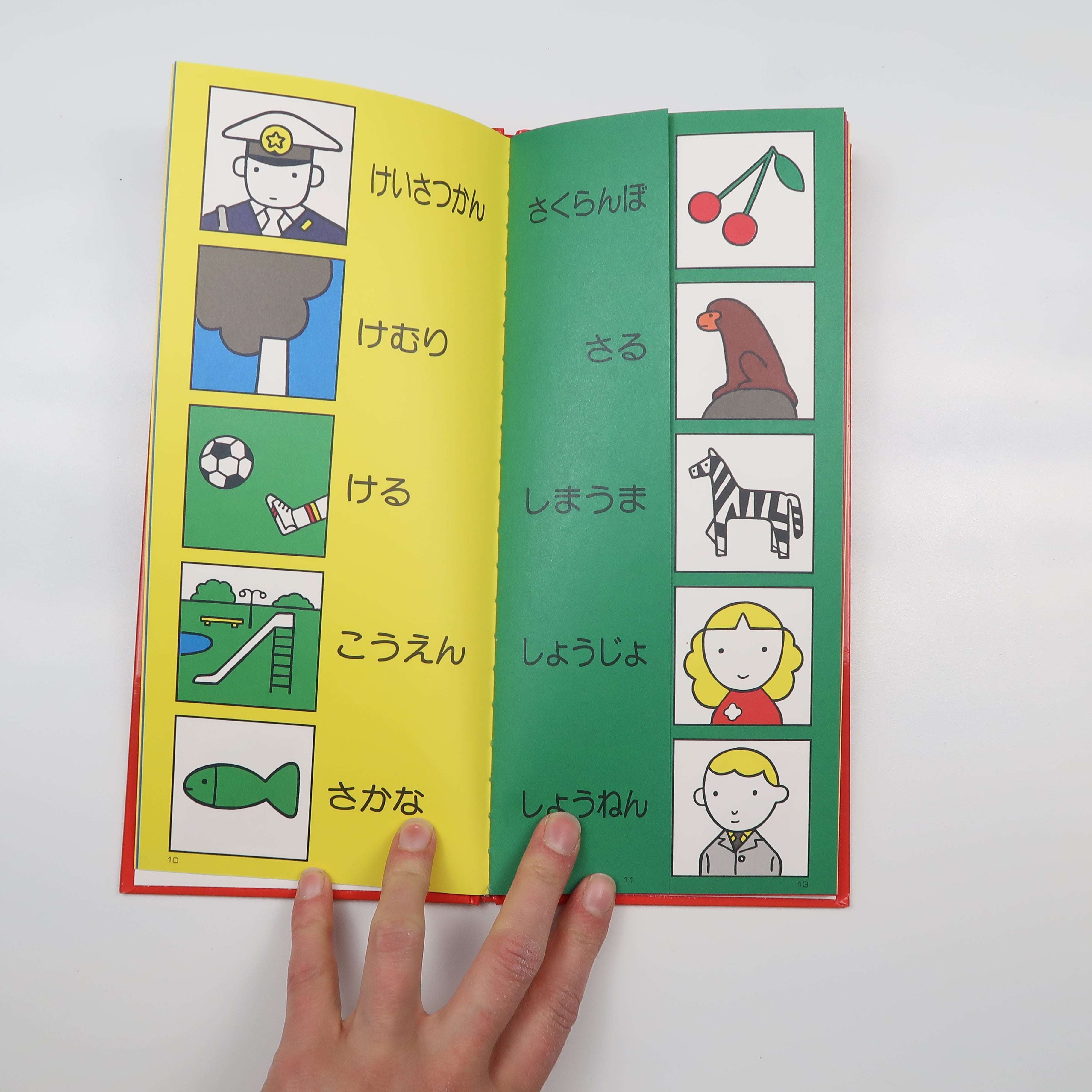 Japanese - Picture Dictionary (Book)