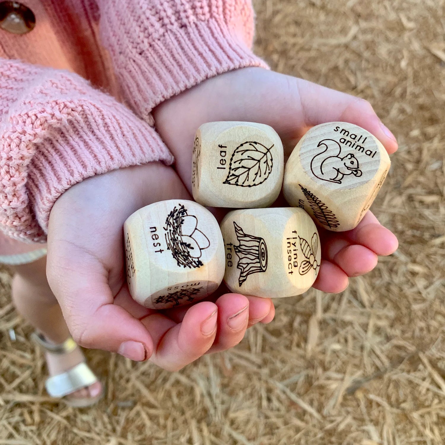 Tree Fort Toys - Scavenger Hunt Dice